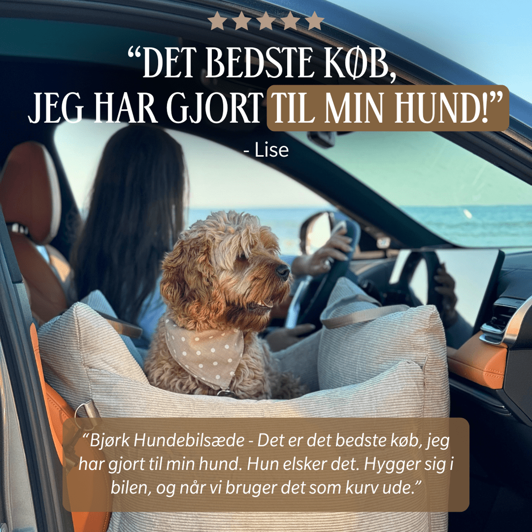 By Doodle Dog customer review ad