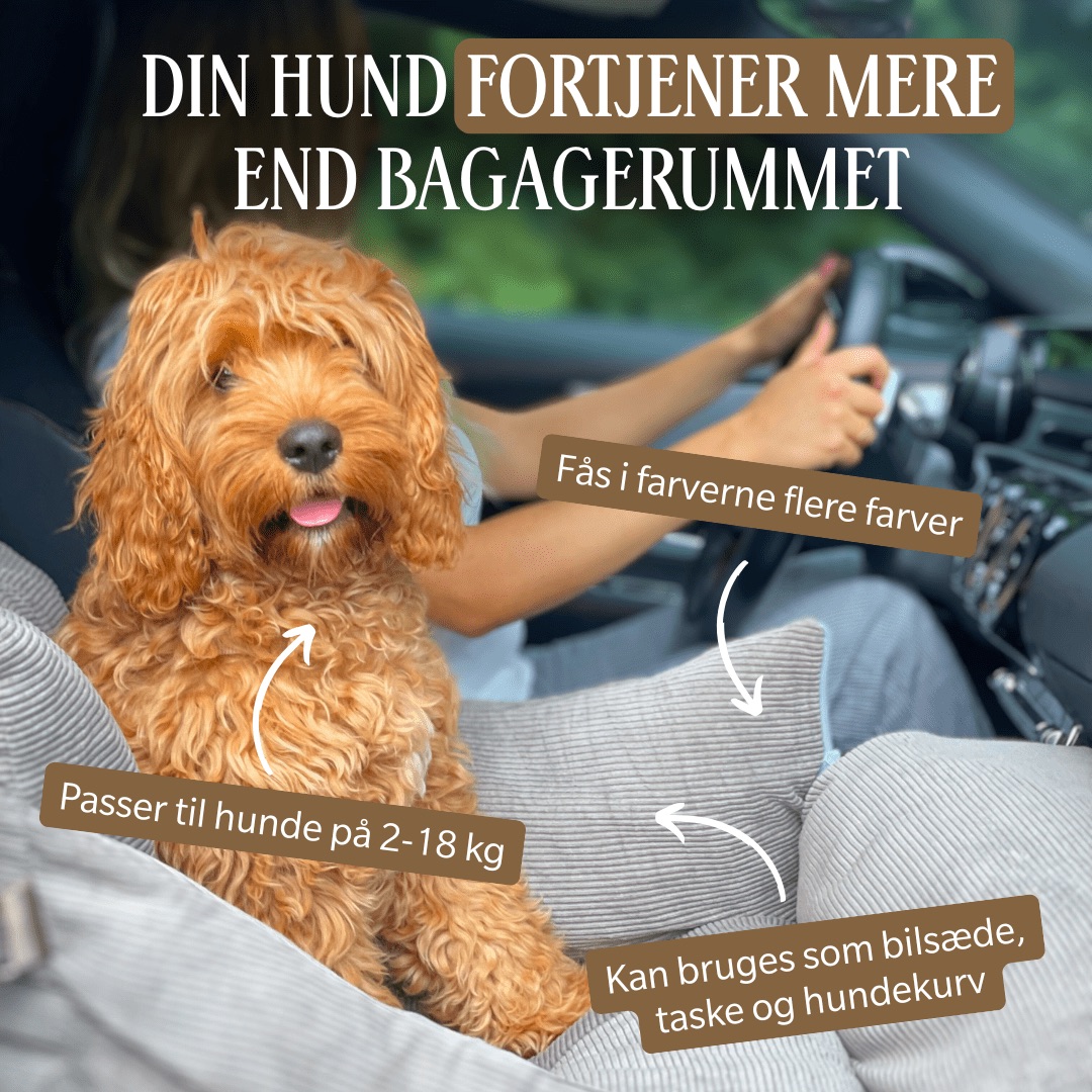 By Doodle Dog car seat product ad