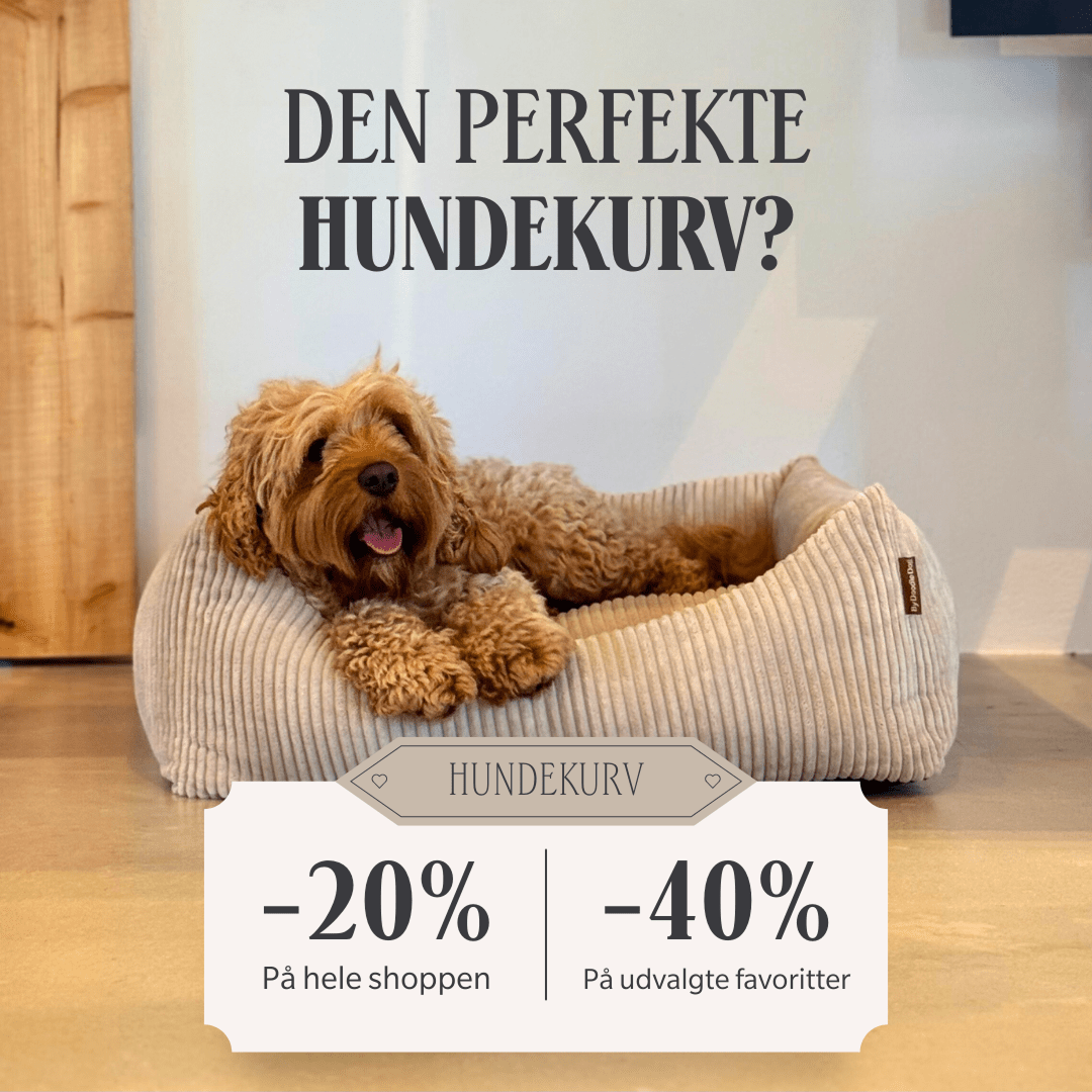 Shopping Cart Creative